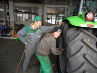 Berufspraktische Tage 3