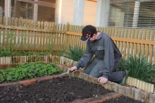 Dominiks Gartenparadies 2